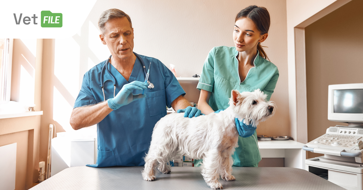 How do you plan and execute animal vaccination programs with VetFile?